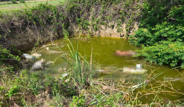 Bu Nasıl Vicdan! Vahşetin Adresi Bu Kez Edirne: Köpeklerin Kafasını Kesip Çukura Attılar
