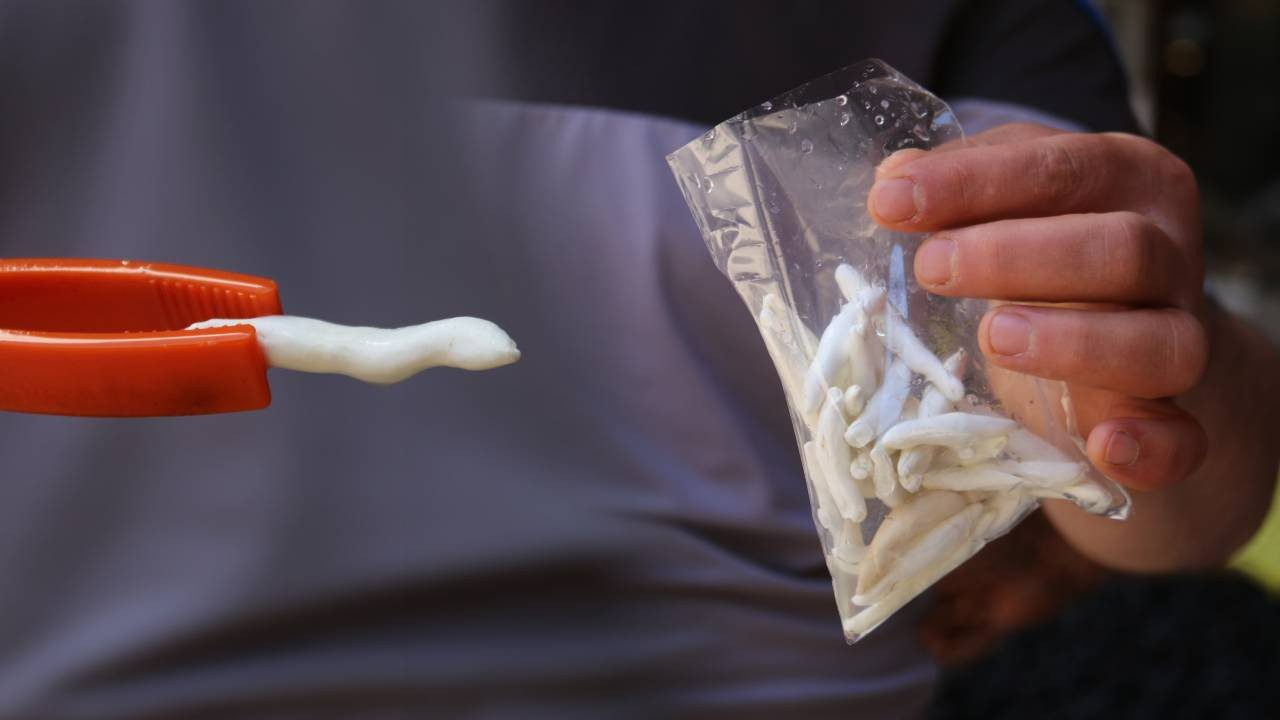 Bu Sakızın Fiyatı Yarım Altınla Yarışıyor! Faydaları Saymakla Bitmiyor, Bir Kez Satın Alan Vazgeçemiyor