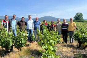 Çanakkale’de Don Felaketi Sonrasında Önemli İnceleme