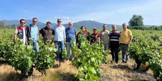 Çanakkale’de Don Felaketi Sonrasında Önemli İnceleme