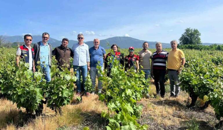Çanakkale’de Don Felaketi Sonrasında Önemli İnceleme