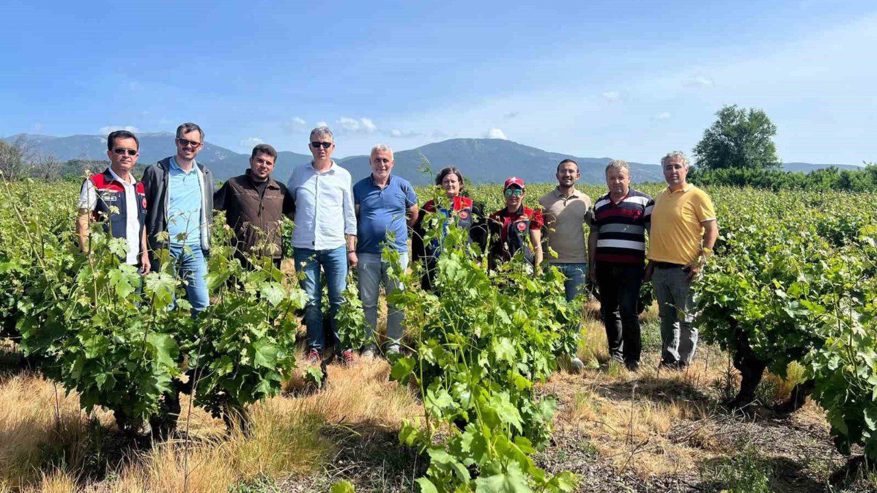 Çanakkale’de Don Felaketi Sonrasında Önemli İnceleme