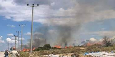 Çanakkale’de Otluk Yangını Korkuttu