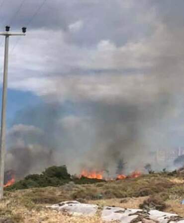 Çanakkale’de Otluk Yangını Korkuttu