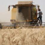 CHP’li Gürer Sahadan Seslendi: Çiftçi İflasın Eşiğinde