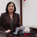 CHP’Lİ Süllü’den İktidara ‘Alpu Kömür Termik Santrali’ Tepkisi: Hukuk Yok Sayılıyor