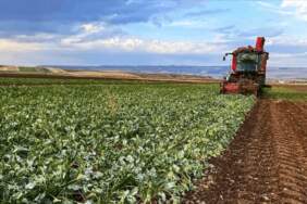 Çiftçi Sayısı Azaldı, Borç Katlandı