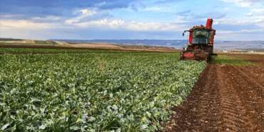 Çiftçi Sayısı Azaldı, Borç Katlandı