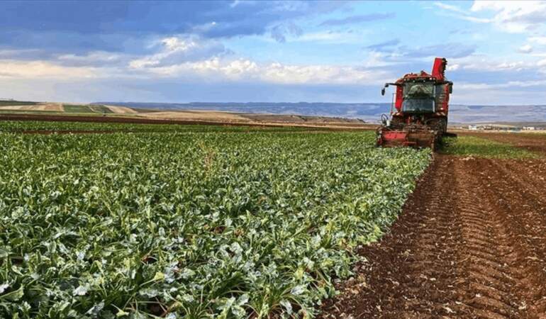 Çiftçi Sayısı Azaldı, Borç Katlandı