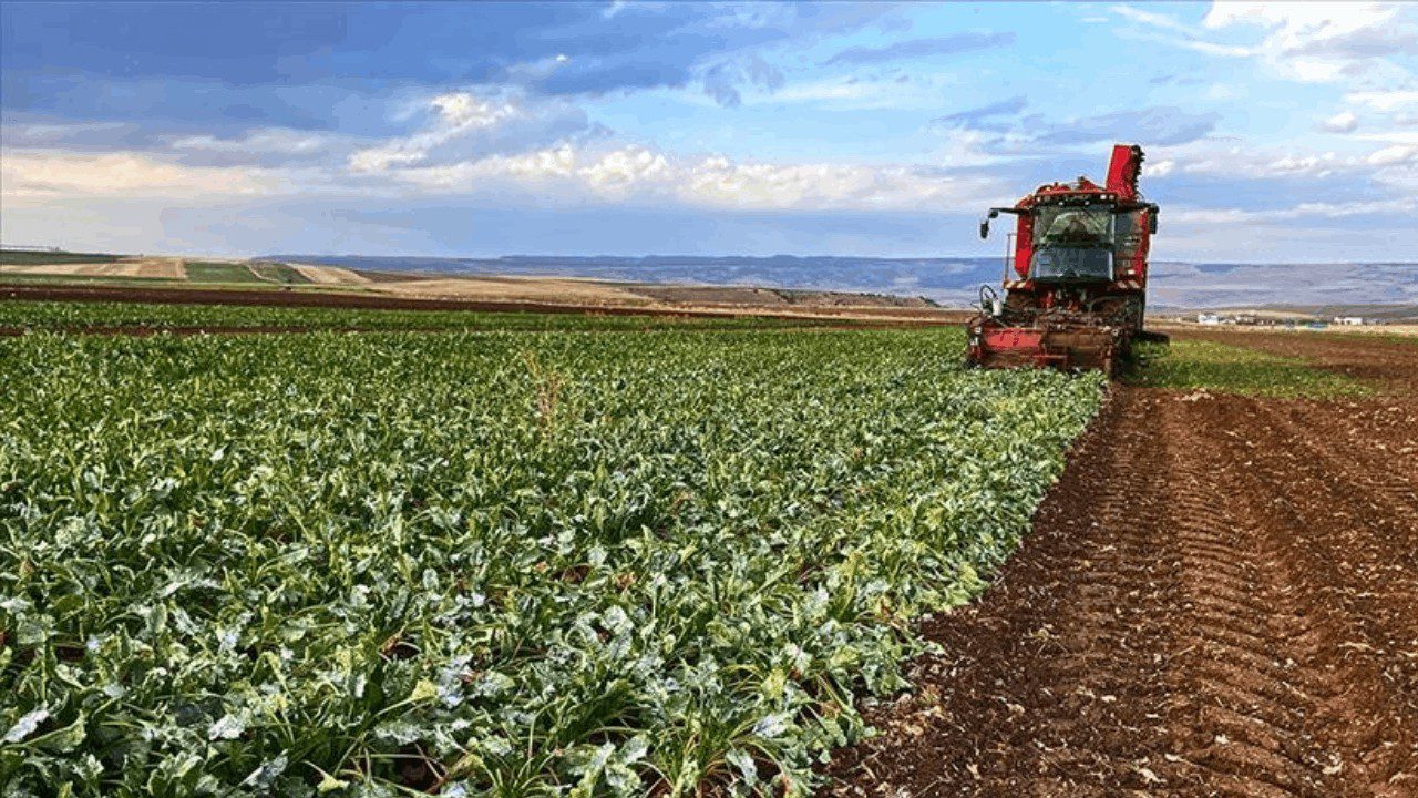Çiftçi Sayısı Azaldı, Borç Katlandı