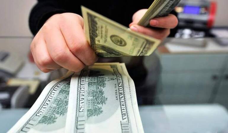 Dolar Yükseldi, Euro Düşüşe Geçti