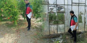 Dolu ve Hortumun Vurduğu Bölgede Yaralar Sarılıyor