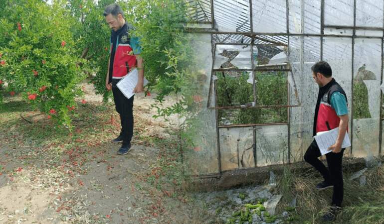 Dolu ve Hortumun Vurduğu Bölgede Yaralar Sarılıyor