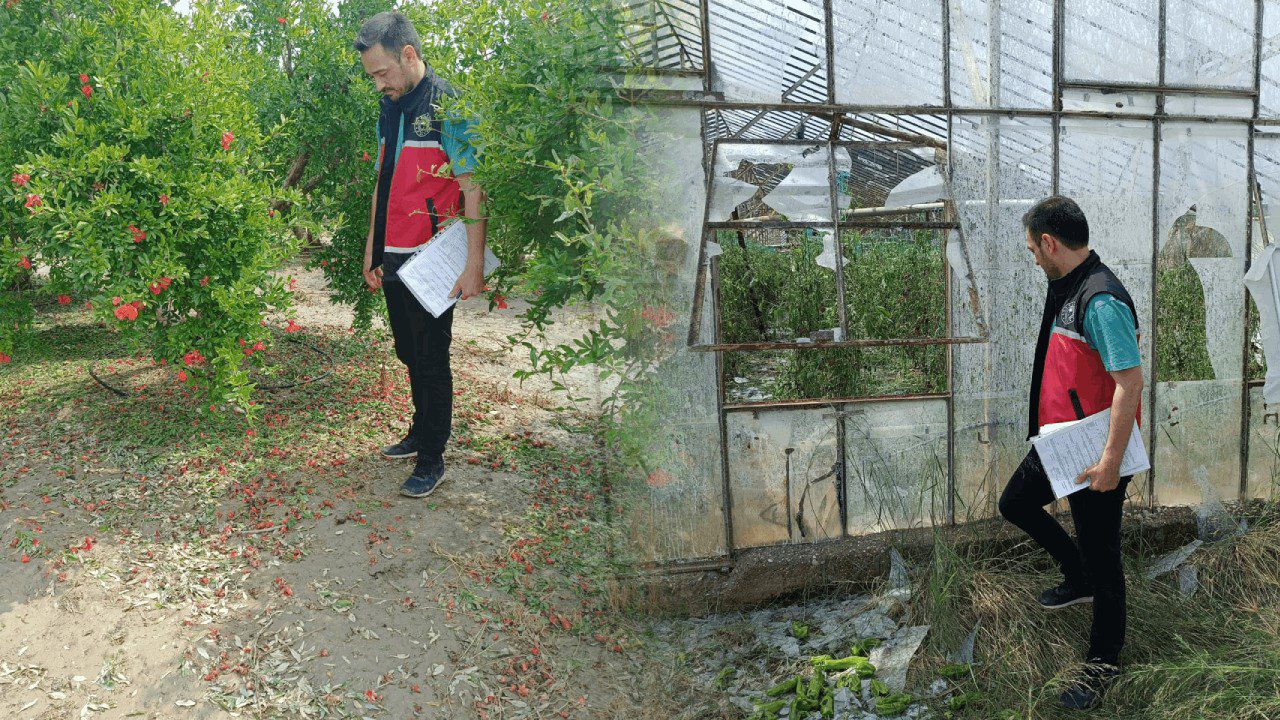 Dolu ve Hortumun Vurduğu Bölgede Yaralar Sarılıyor