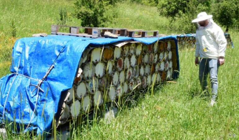 Dünyada Altın Bal Olarak Peş Peşe Ödül Aldı: Yalnızca Türkiye’nin O Şehrinde Üretiliyor