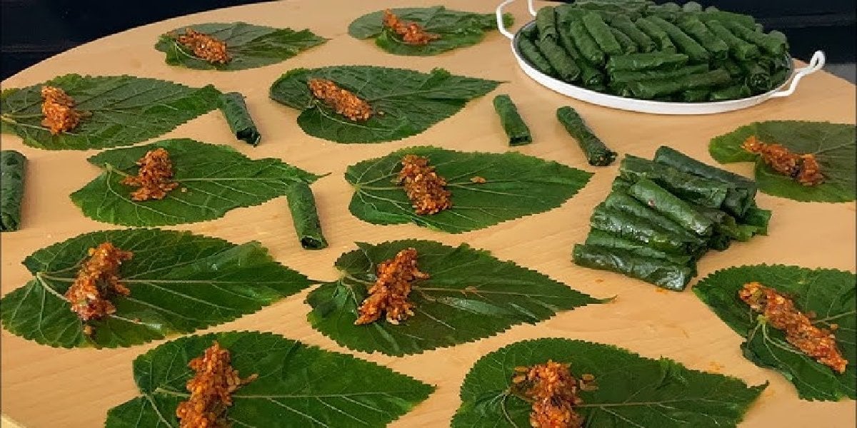 findik-yapragi-sarma.jpg