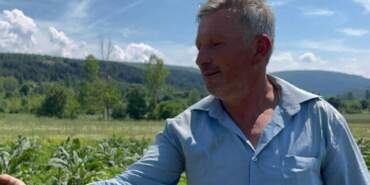 Hırsızlar Tarlada Tüm Ürünleri Hasat Edip Kaçtı: Çiftçi Gözyaşlarına Boğuldu! Polis Her Yerde Onları Arıyor