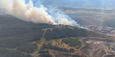 İzmir’de Orman Yangını: Havadan ve Karadan Müdahale Sürüyor