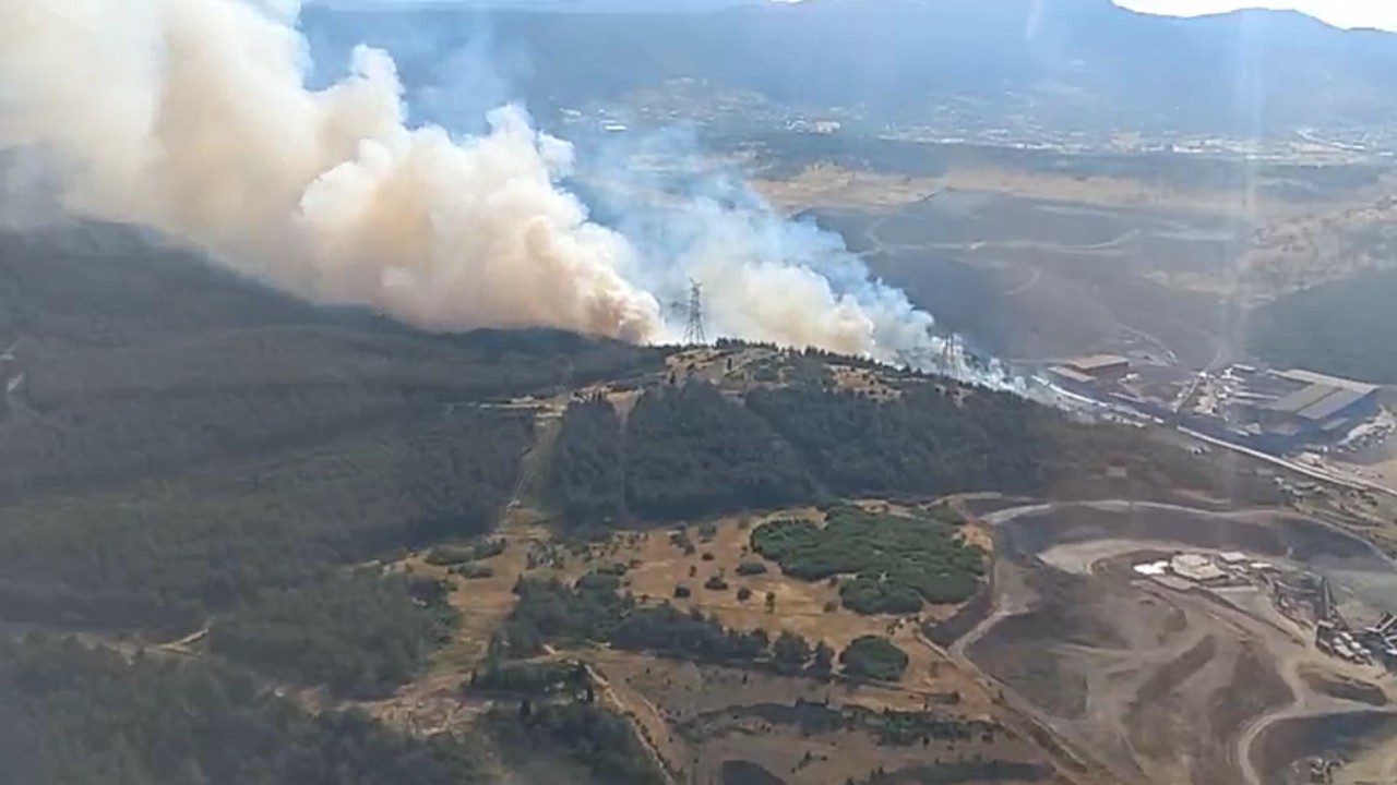 İzmir’de Orman Yangını: Havadan ve Karadan Müdahale Sürüyor