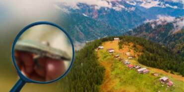 Kaçkar Dağları’nda Heyecanlandıran Keşif! Bilim Dünyasına Kalp Isıtan İz Bıraktı… Eşi Benzeri Yok