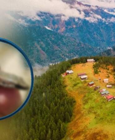 Kaçkar Dağları’nda Heyecanlandıran Keşif! Bilim Dünyasına Kalp Isıtan İz Bıraktı… Eşi Benzeri Yok