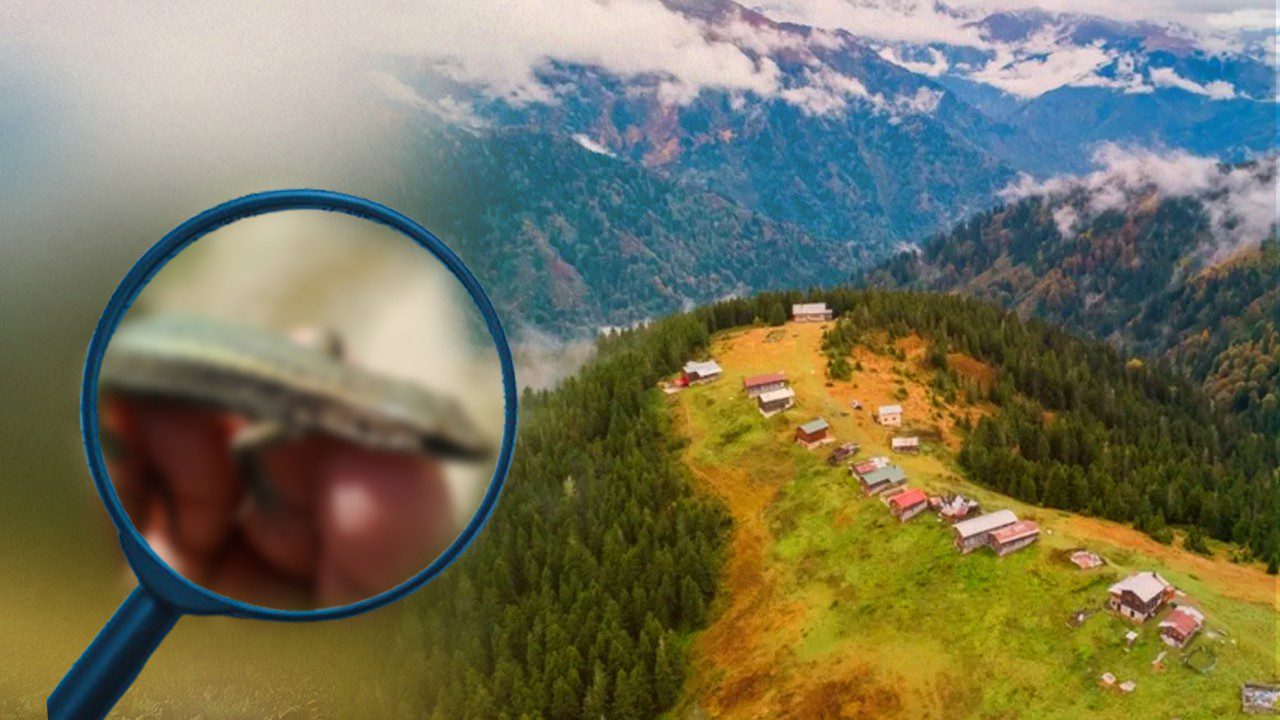 Kaçkar Dağları’nda Heyecanlandıran Keşif! Bilim Dünyasına Kalp Isıtan İz Bıraktı… Eşi Benzeri Yok