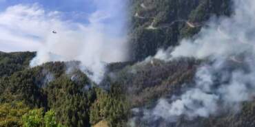 Kahramanmaraş’ta Orman Yangını! Alevler 3 Saatte Kontrol Altına Alındı