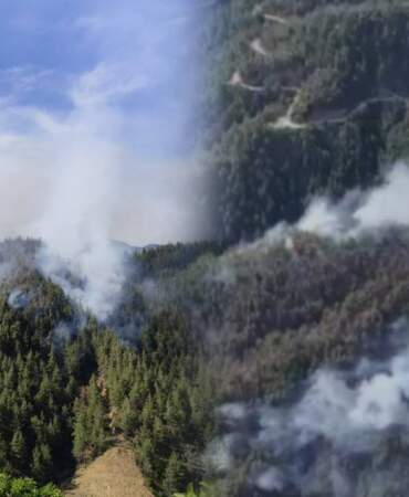 Kahramanmaraş’ta Orman Yangını! Alevler 3 Saatte Kontrol Altına Alındı