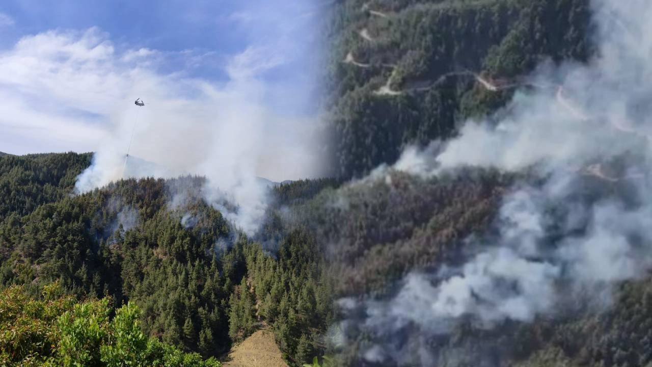 Kahramanmaraş’ta Orman Yangını! Alevler 3 Saatte Kontrol Altına Alındı