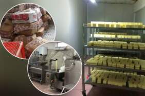 Kaşar Peyniri Satan İşletmede Mide Bulandıran Skandal! Tam 5 Ton Hepsi İmha Edildi… Sahtekarlıkta Ün Yapmışlar