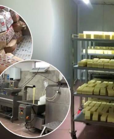 Kaşar Peyniri Satan İşletmede Mide Bulandıran Skandal! Tam 5 Ton Hepsi İmha Edildi… Sahtekarlıkta Ün Yapmışlar