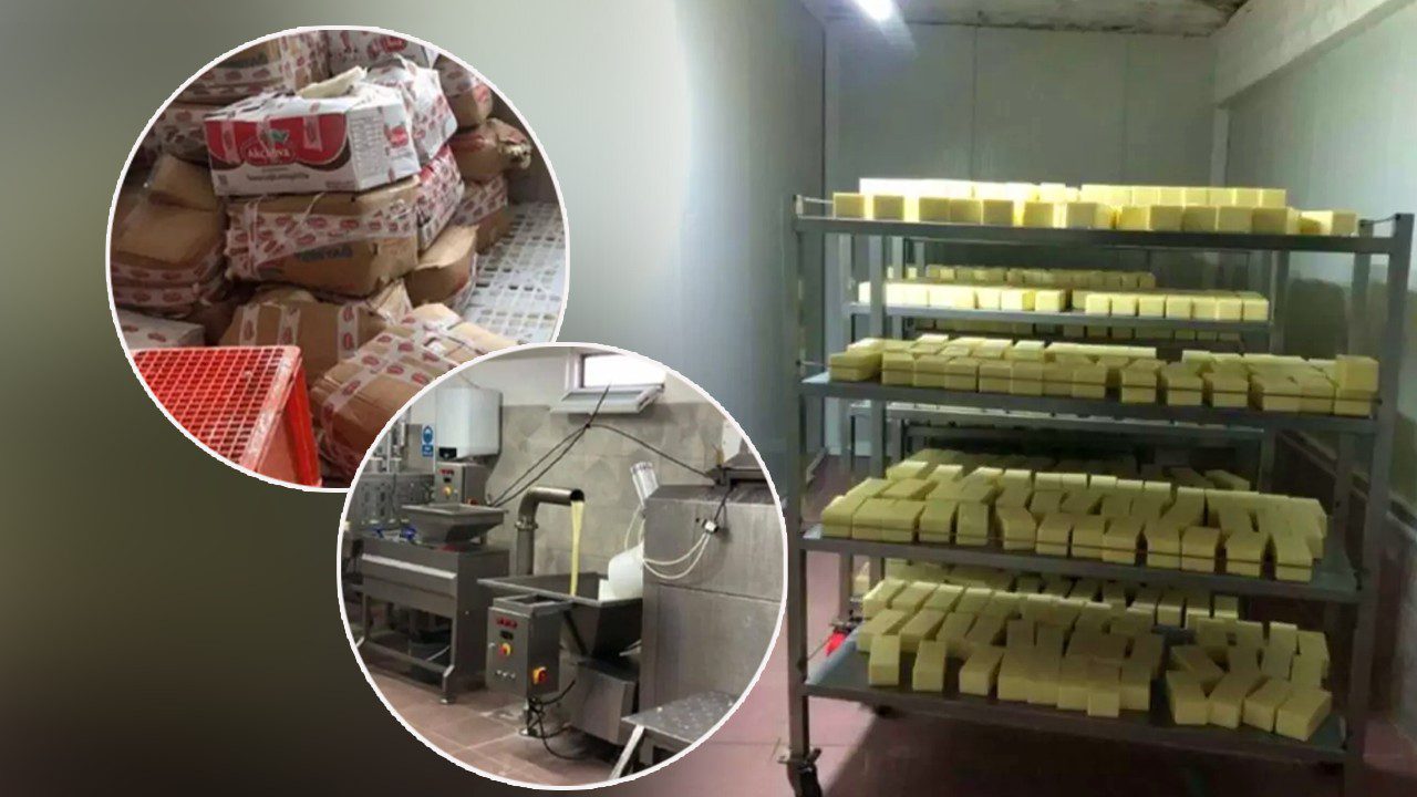 Kaşar Peyniri Satan İşletmede Mide Bulandıran Skandal! Tam 5 Ton Hepsi İmha Edildi… Sahtekarlıkta Ün Yapmışlar