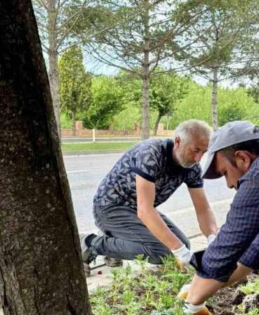 Kastamonu’nun Her Köşesine Ekildi! Sayısı 70 Bini Aştı… Renk Renk
