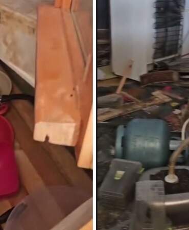 Kış Uykusundan Uyanan Ayılar Soluğu Belediye Başkanı’nın Evinde Aldı