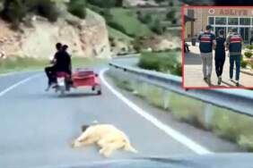 Köpeği Motosikletle Sürükleyen Vicdansıza Gözaltı!