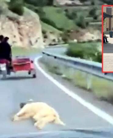 Köpeği Motosikletle Sürükleyen Vicdansıza Gözaltı!