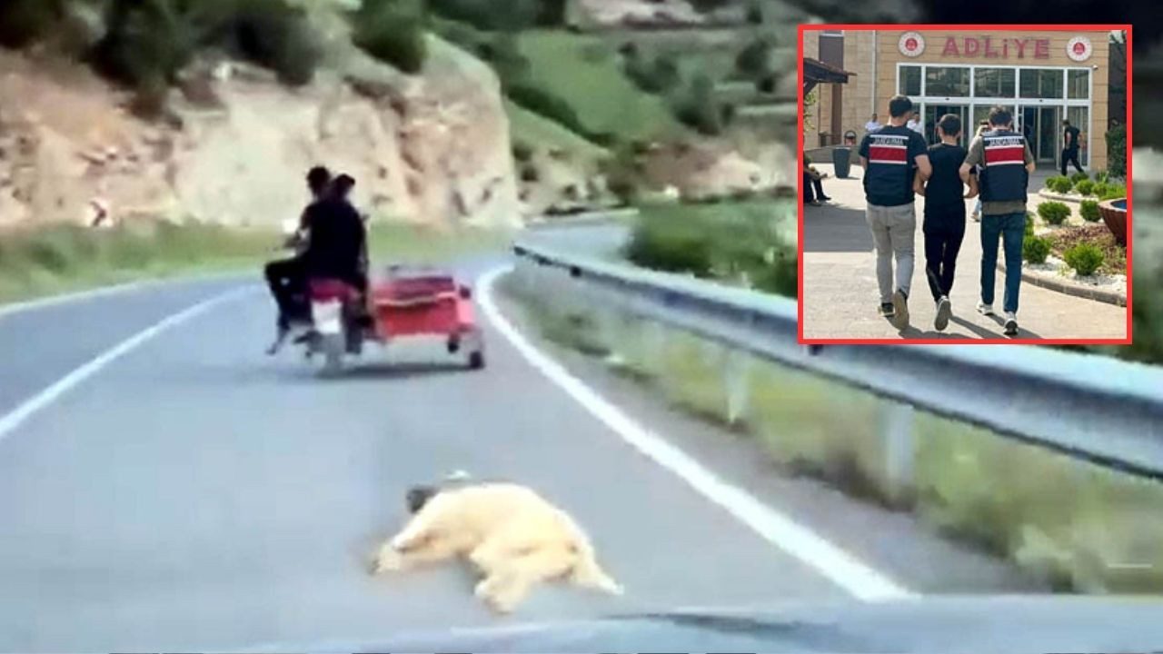 Köpeği Motosikletle Sürükleyen Vicdansıza Gözaltı!