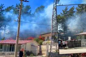 Muğla’da Yerleşim Yerine Yakın Yerde Orman Yangını