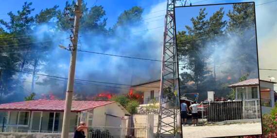 Muğla’da Yerleşim Yerine Yakın Yerde Orman Yangını