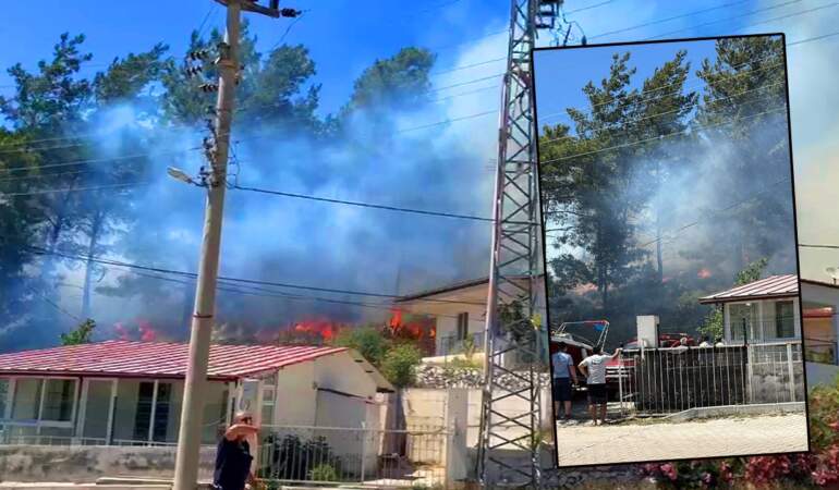 Muğla’da Yerleşim Yerine Yakın Yerde Orman Yangını