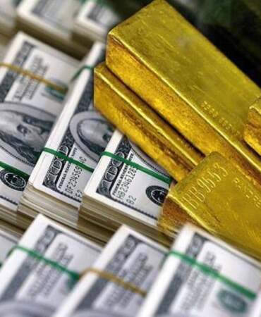 Ne Altın Ne Dolar Ne de Euro: Yatırımcıların Yeni Gözdesi, Yatıran 22 Kat Kazanıyor