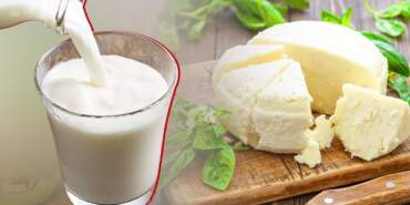 Peynir ve Süt Ürünlerinde 4 İlde Büyük Hile! Bakanlık İsim İsim İfşa Etti