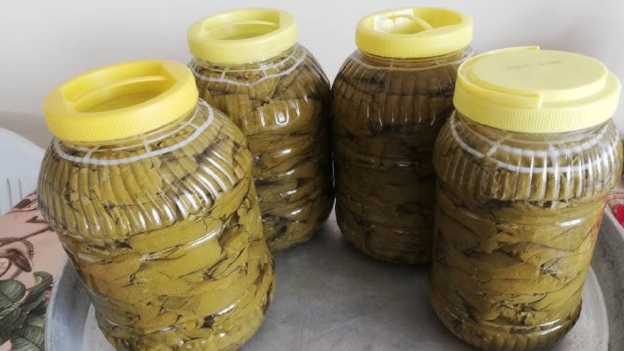 Sadece 15 Dakikada Hazırlanıyor! Asma Yaprakları Bu Yöntemle Bütün Kış Küflenmeden Kalıyor