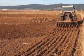 Tarımdaki Durum Çiftçiyi İsyan Ettirdi