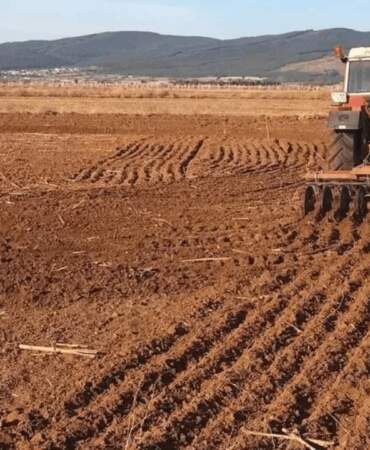 Tarımdaki Durum Çiftçiyi İsyan Ettirdi