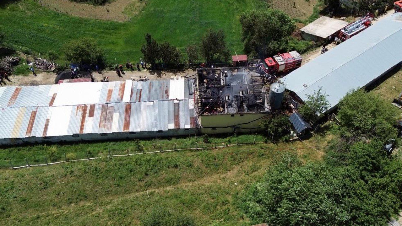 Tavuk Çiftliğinde Yangın: Binlerce Hayvan Vardı…