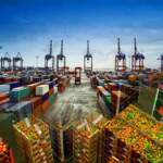 Tehlike Kapıdan Döndü! Türkiye, 4 Ülkenin Ürününü Geri Gönderdi