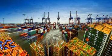 Tehlike Kapıdan Döndü! Türkiye, 4 Ülkenin Ürününü Geri Gönderdi