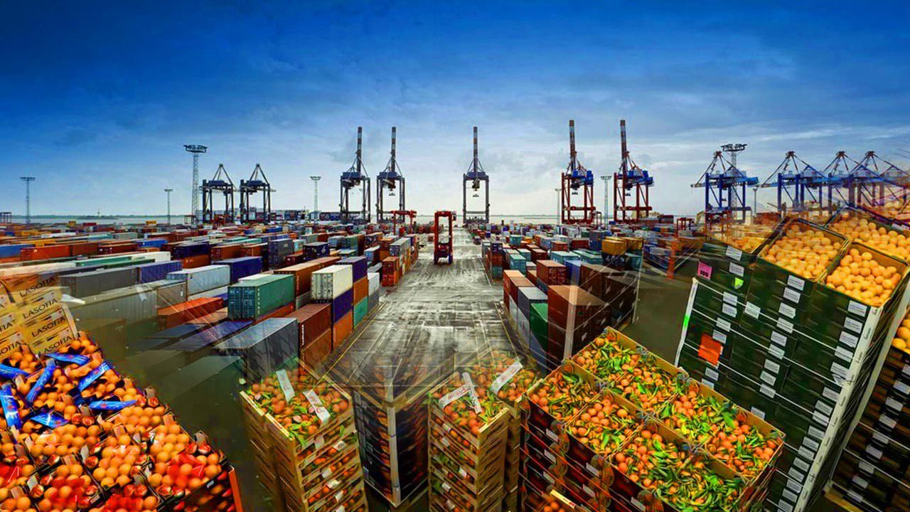 Tehlike Kapıdan Döndü! Türkiye, 4 Ülkenin Ürününü Geri Gönderdi