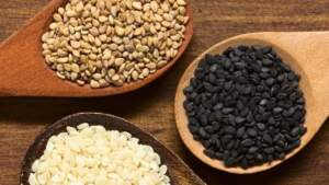 Türkiye Yolladı, Almanya Reddetti! O Ürün de Sınırdan Geri Çevrildi